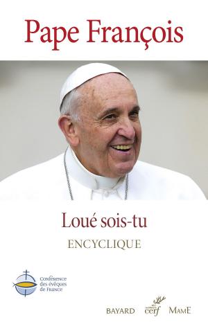 Cover of the book Loué sois-tu - Laudato Si' by Anne Gravier, Adeline Avril
