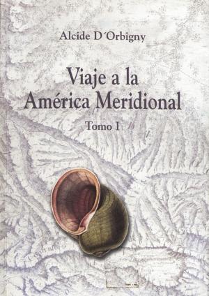 Cover of the book Viaje a la América Meridional. Tomo I by José Eusebio Llano Zapata