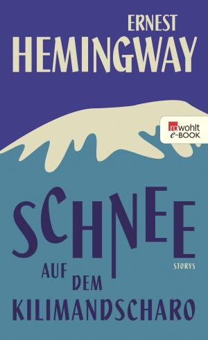 Cover of the book Schnee auf dem Kilimandscharo by Edda Minck