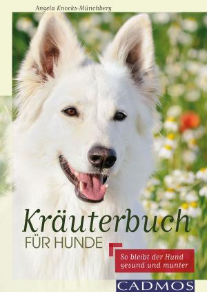 Cover of the book Kräuterbuch für Hunde by Marina Hense, Christina Sondermann