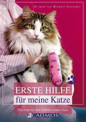 Cover of the book Erste Hilfe für meine Katze by Claudia Jung
