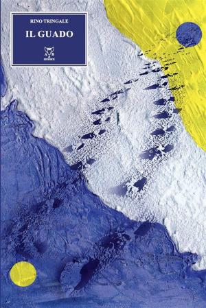 Cover of the book Il guado by Katerina Kramova