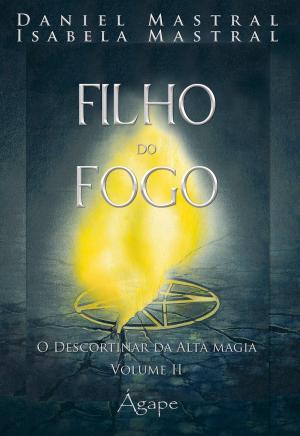 Cover of the book Filho do fogo by Walter Johannes Stein