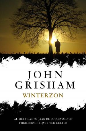 Cover of the book Winterzon by Peter Robinson