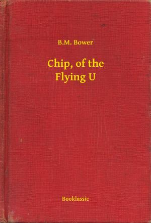 Cover of the book Chip, of the Flying U by MaryAnn Burnett