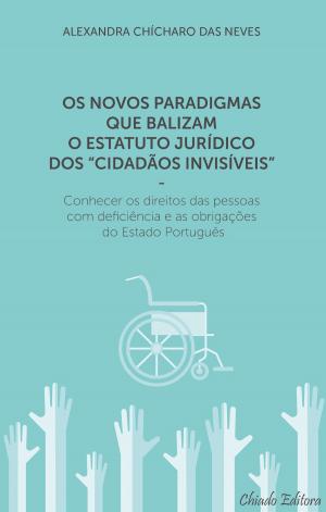 Cover of Os novos paradigmas que balizam o estatuto jurídico dos cidadãos invisívieis