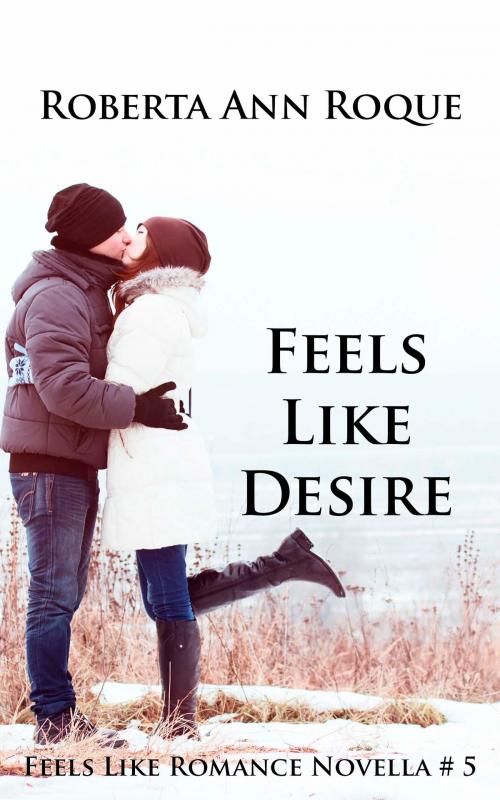 Cover of the book Feels Like Desire by Roberta Ann Roque, Windy Point Publishing