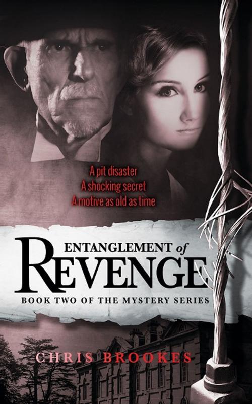 Cover of the book Entanglement of Revenge by Chris Brookes, Schnauzer Publications