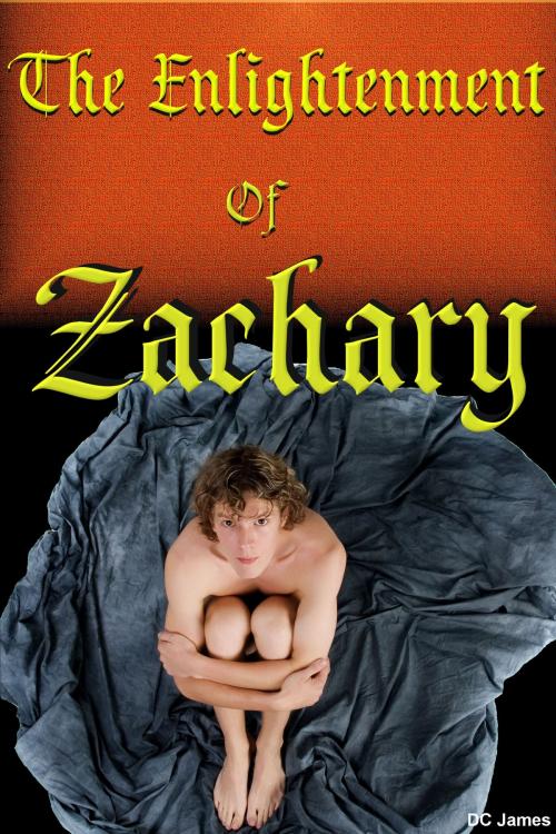 Cover of the book The Enlightenment of Zachary by DC James, DC James