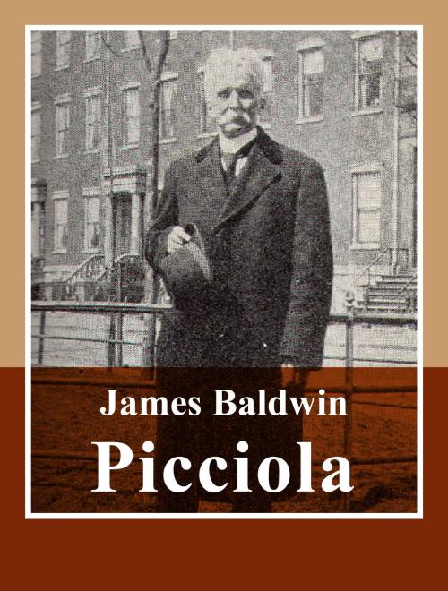 Cover of the book Picciola by James Baldwin, Media Galaxy