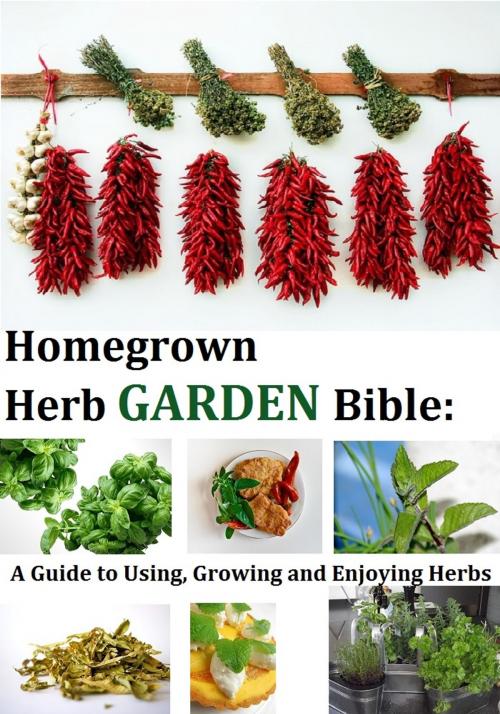 Cover of the book Homegrown Herb Garden Bible: A Guide to Using, Growing and Enjoying Herbs by Kathy Lester, Lester Publishing