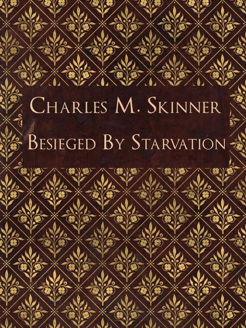 Cover of the book Besieged By Starvation by Charles M. Skinner, Media Galaxy