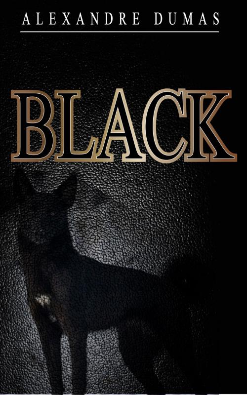 Cover of the book BLACK by Alexandre DUMAS, SAHEL Abdelghani