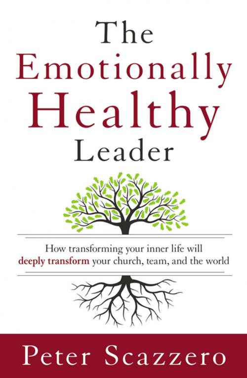 Cover of the book The Emotionally Healthy Leader by Peter Scazzero, Zondervan