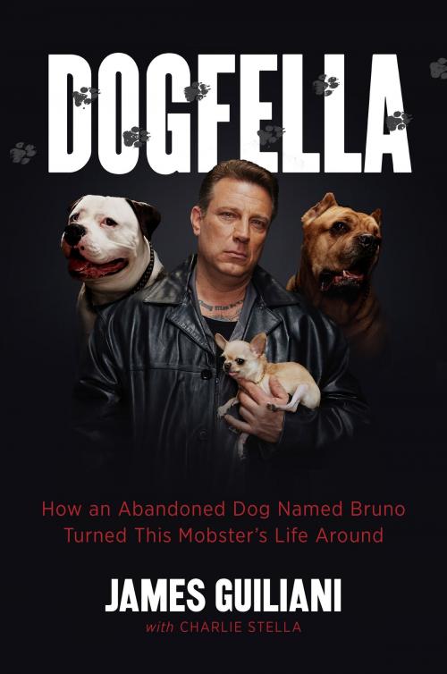 Cover of the book Dogfella by James Guiliani, Charlie Stella, Hachette Books