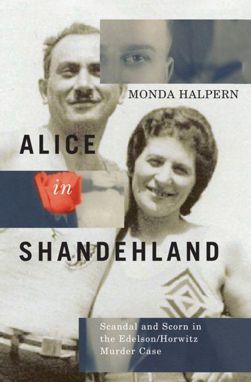 Cover of the book Alice in Shandehland by Monda Halpern, MQUP