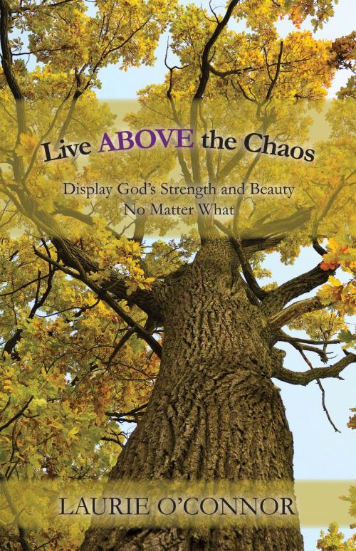 Cover of the book Live ABOVE the Chaos by Laurie O'Connor, Oaks Ministries