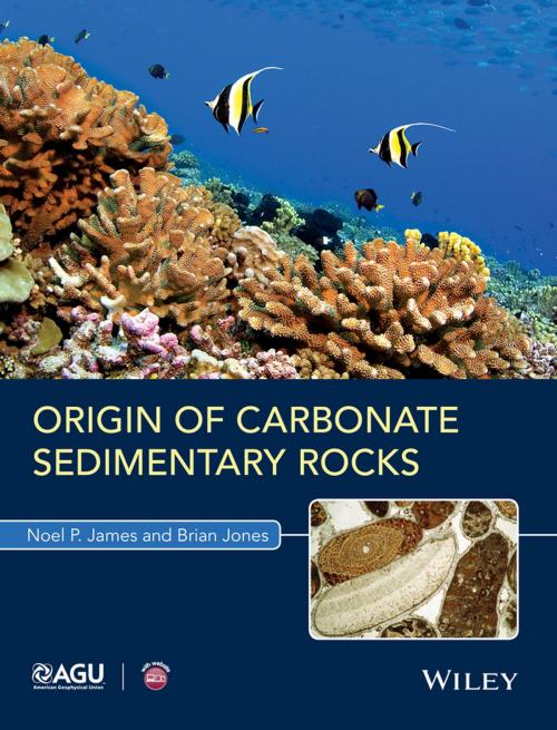 Cover of the book Origin of Carbonate Sedimentary Rocks by Noel P. James, Brian Jones, Wiley