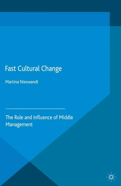 Cover of the book Fast Cultural Change by M. Nieswandt, Palgrave Macmillan UK