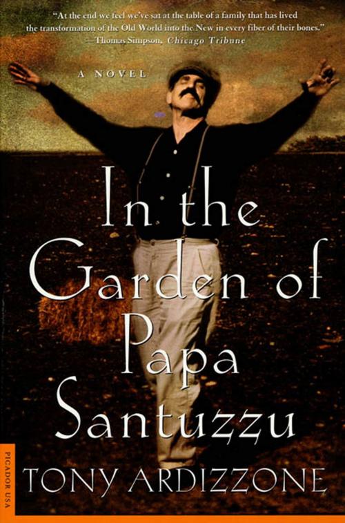 Cover of the book In the Garden of Papa Santuzzu by Tony Ardizzone, Picador