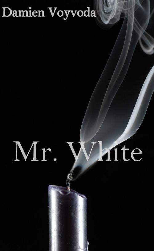 Cover of the book Mr. White by Damien Voyvoda, Damien Voyvoda