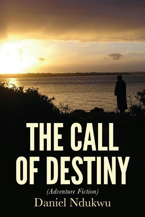 Cover of the book The Call of Destiny by Daniel Ndukwu, Daniel Ndukwu