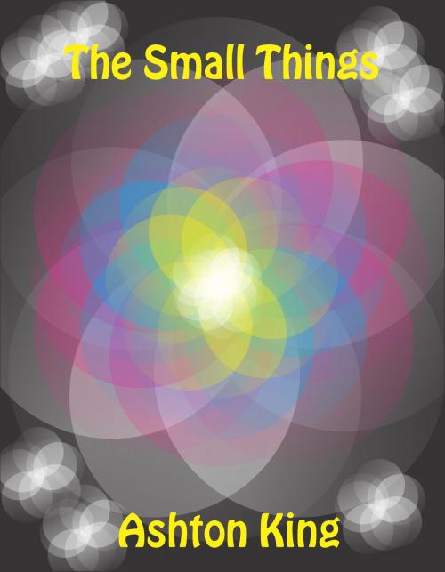 Cover of the book The Small Things by Ashton King, Ashton King