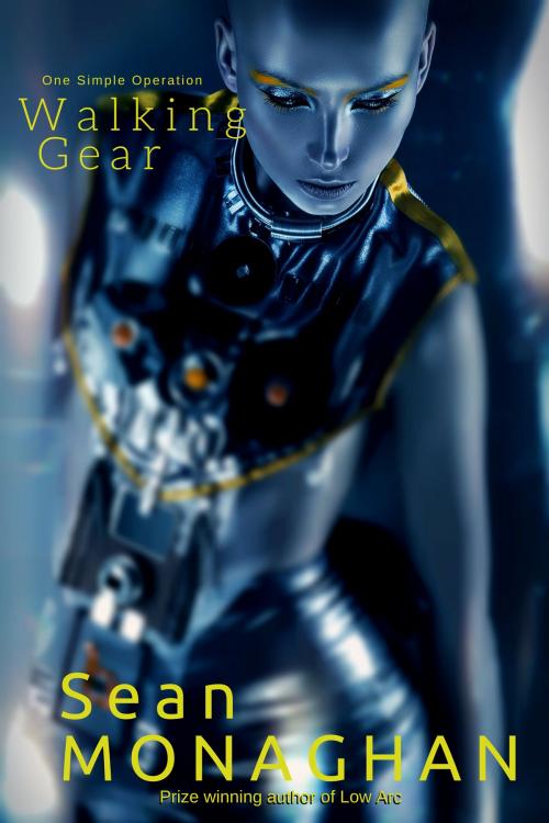 Cover of the book Walking Gear by Sean Monaghan, Triple V Publishing