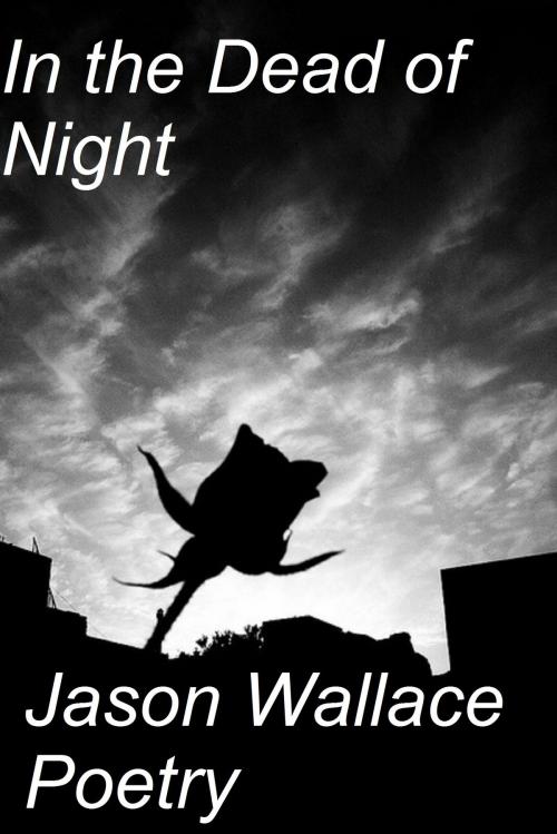 Cover of the book In the Dead of Night by Jason Wallace Poetry, Jason Wallace Poetry