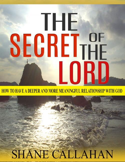 Cover of the book The Secret of the Lord: How to Have a Deeper and More Meaningful Relationship With God by Shane Callahan, Lulu.com