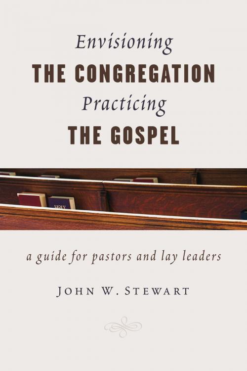 Cover of the book Envisioning the Congregation, Practicing the Gospel by John W. Stewart, Wm. B. Eerdmans Publishing Co.