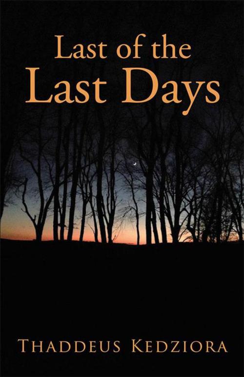 Cover of the book Last of the Last Days by Thaddeus Kedziora, WestBow Press