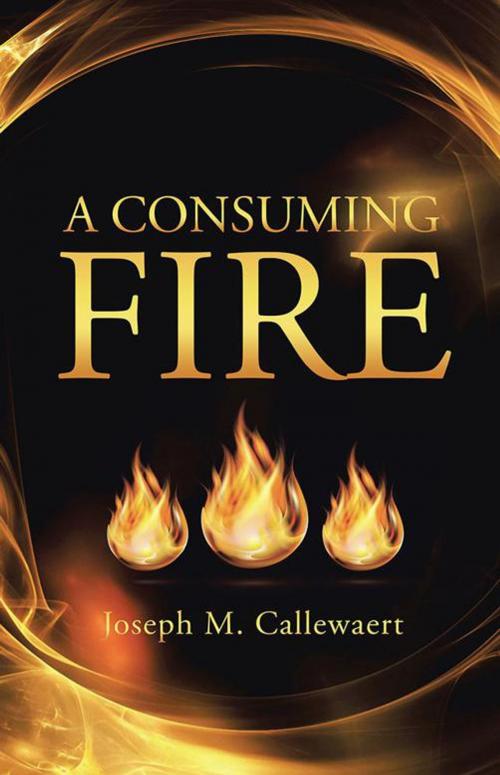 Cover of the book A Consuming Fire by Joseph M. Callewaert, WestBow Press