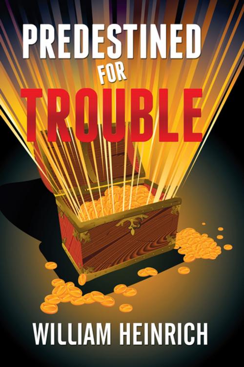 Cover of the book Predestined for Trouble by William Heinrich, Xlibris AU