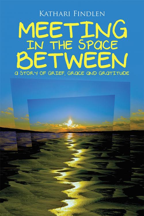 Cover of the book Meeting in the Space Between by Kathari Findlen, Balboa Press