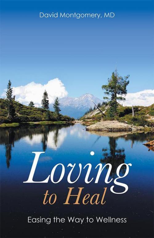 Cover of the book Loving to Heal by David Montgomery, Balboa Press