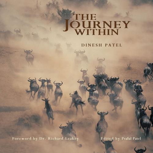 Cover of the book The Journey Within by Dinesh Patel, AuthorHouse