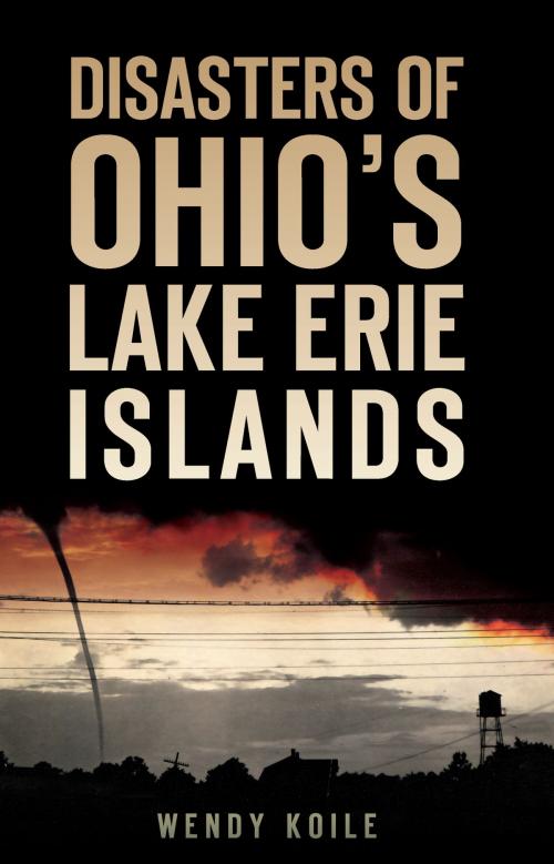 Cover of the book Disasters of Ohio’s Lake Erie Islands by Wendy Koile, Arcadia Publishing Inc.