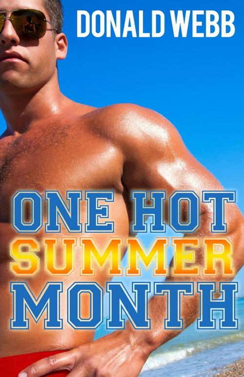 Cover of the book One Hot Summer Month by Donald Webb, Bold Strokes Books , Inc.