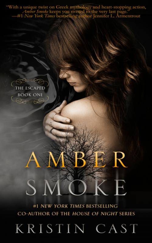 Cover of the book Amber Smoke by Kristin Cast, Diversion Books