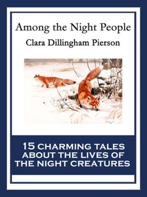 Cover of the book Among the Night People by Clara Dillingham Pierson, Wilder Publications, Inc.