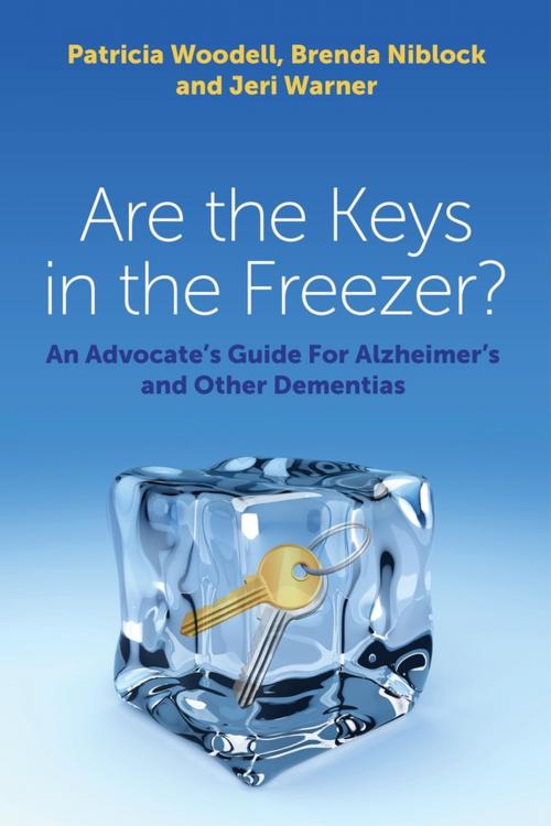 Cover of the book Are the Keys in the Freezer? by Patricia Woodell, Brenda Niblock, Jeri Warner, Jessica Kingsley Publishers