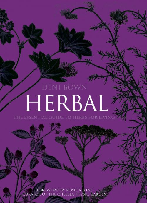 Cover of the book Herbal by Deni Brown, Pavilion Books