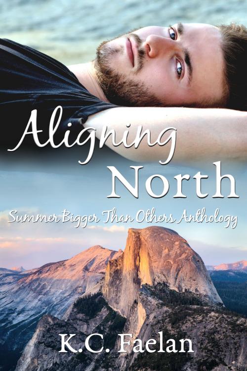 Cover of the book Aligning North by K.C. Faelan, Beaten Track Publishing