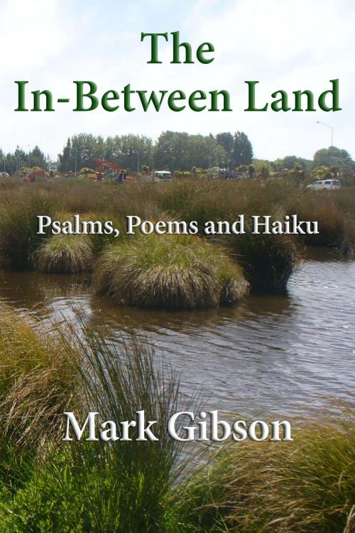 Cover of the book The In-Between Land by Mark Gibson, Philip Garside Publishing Ltd