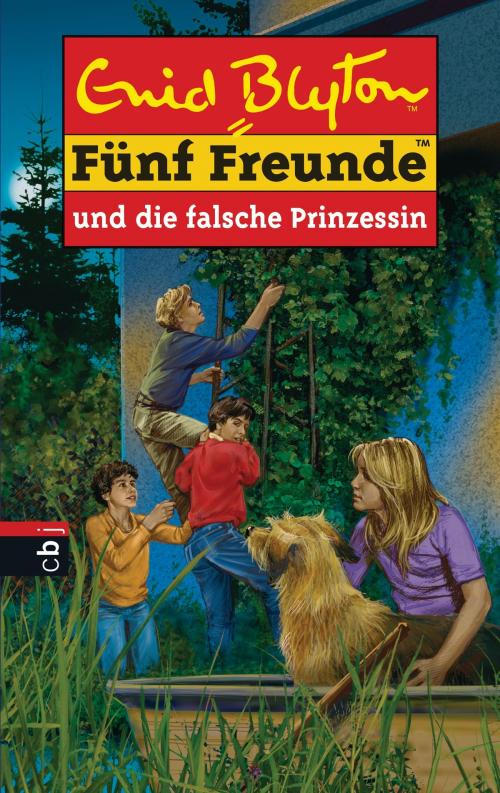 Cover of the book Fünf Freunde und die falsche Prinzessin by Enid Blyton, cbj