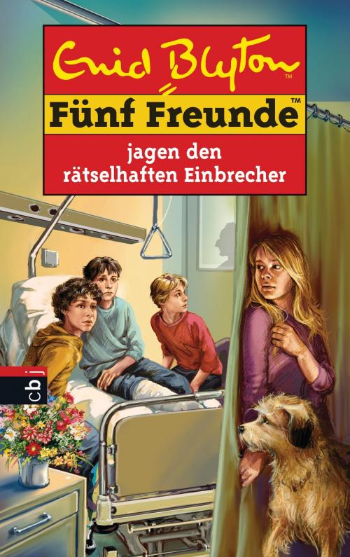 Cover of the book Fünf Freunde jagen den rätselhaften Einbrecher by Enid Blyton, cbj