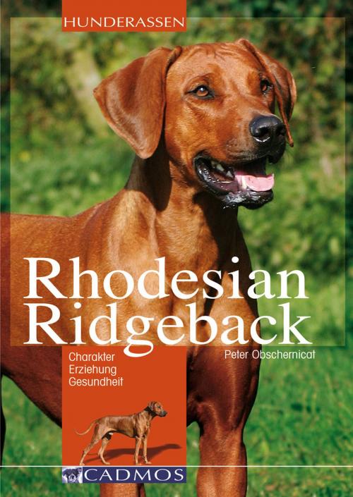 Cover of the book Rhodesian Ridgeback by Peter Obschernicat, Cadmos Verlag