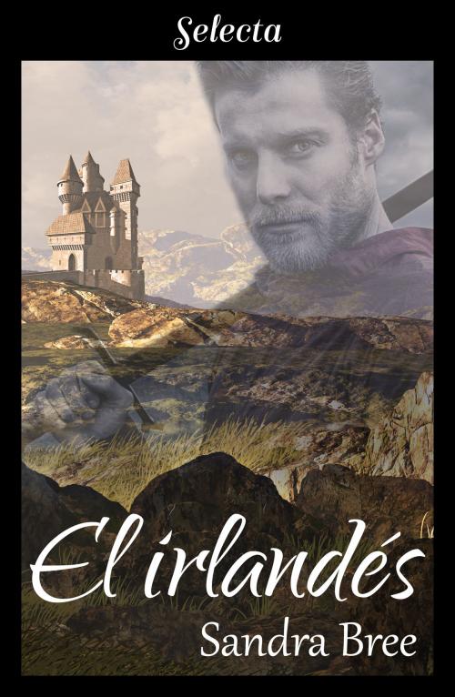 Cover of the book El irlandés by Sandra Bree, Penguin Random House Grupo Editorial España