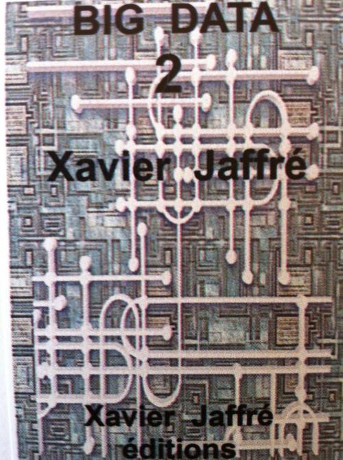 Cover of the book Big Data 2 by xavier jaffré, Xavier jaffré édition